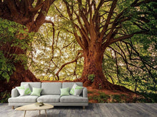 Load image into Gallery viewer, Photo Wallpaper In the dense forest