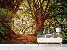 Load image into Gallery viewer, Photo Wallpaper In the dense forest