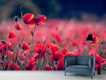 Load image into Gallery viewer, Photo Wallpaper In the poppy field