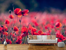 Load image into Gallery viewer, Photo Wallpaper In the poppy field