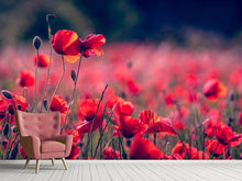 Load image into Gallery viewer, Photo Wallpaper In the poppy field