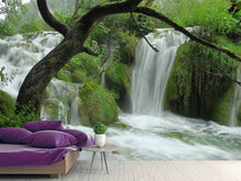 Load image into Gallery viewer, Photo Wallpaper In the national park