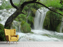 Load image into Gallery viewer, Photo Wallpaper In the national park