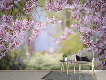 Load image into Gallery viewer, Photo Wallpaper In the beautiful spring