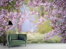 Load image into Gallery viewer, Photo Wallpaper In the beautiful spring