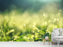 Load image into Gallery viewer, Photo Wallpaper In the meadow