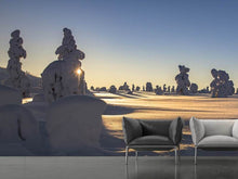 Load image into Gallery viewer, Photo Wallpaper In Lapland