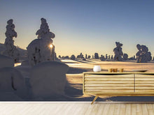 Load image into Gallery viewer, Photo Wallpaper In Lapland