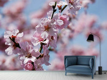 Load image into Gallery viewer, Photo Wallpaper Japanese cherry tree close up