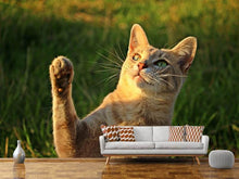 Load image into Gallery viewer, Photo Wallpaper Cats game