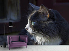 Load image into Gallery viewer, Photo Wallpaper Cat's head XL