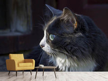 Load image into Gallery viewer, Photo Wallpaper Cat's head XL