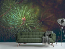Load image into Gallery viewer, Photo Wallpaper Pine tree close up