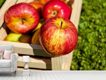 Load image into Gallery viewer, Photo Wallpaper Box of apples