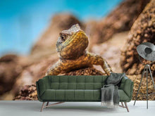 Load image into Gallery viewer, Photo Wallpaper Little alligator