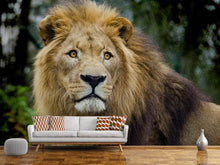 Load image into Gallery viewer, Photo Wallpaper King of wildlife