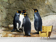 Load image into Gallery viewer, Photo Wallpaper King penguins