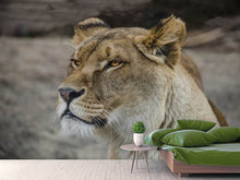 Load image into Gallery viewer, Photo Wallpaper Head of a lioness