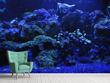 Load image into Gallery viewer, Photo Wallpaper Coral reef in blue