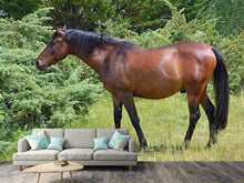Load image into Gallery viewer, Photo Wallpaper Strong horse