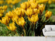 Load image into Gallery viewer, Photo Wallpaper Crocuses in spring