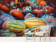 Load image into Gallery viewer, Photo Wallpaper Pumpkin types
