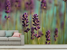 Load image into Gallery viewer, Photo Wallpaper Lavender in XL