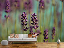 Load image into Gallery viewer, Photo Wallpaper Lavender in XL