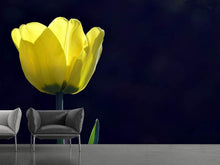 Load image into Gallery viewer, Photo Wallpaper Glowing tulip