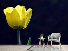 Load image into Gallery viewer, Photo Wallpaper Glowing tulip