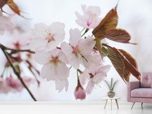 Load image into Gallery viewer, Photo Wallpaper Lovely Japanese cherry