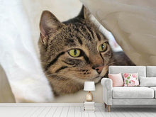 Load image into Gallery viewer, Photo Wallpaper Favorite cat