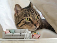 Load image into Gallery viewer, Photo Wallpaper Favorite cat