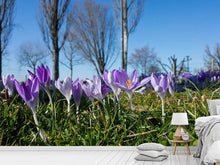 Load image into Gallery viewer, Photo Wallpaper Purple crocus in nature