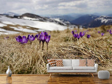 Load image into Gallery viewer, Photo Wallpaper Purple crocus