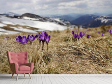 Load image into Gallery viewer, Photo Wallpaper Purple crocus
