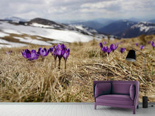 Load image into Gallery viewer, Photo Wallpaper Purple crocus