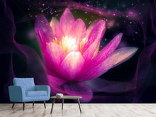 Load image into Gallery viewer, Photo Wallpaper Lily in the light play