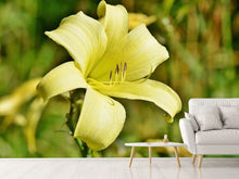Load image into Gallery viewer, Photo Wallpaper Lilies blossom in yellow