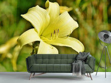Load image into Gallery viewer, Photo Wallpaper Lilies blossom in yellow