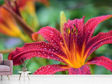 Load image into Gallery viewer, Photo Wallpaper Lily flower in pink XL