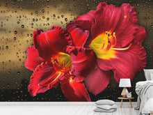 Load image into Gallery viewer, Photo Wallpaper Lily flowers with water drops