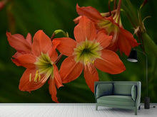 Load image into Gallery viewer, Photo Wallpaper Lilies in orange