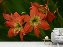 Load image into Gallery viewer, Photo Wallpaper Lilies in orange