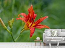 Load image into Gallery viewer, Photo Wallpaper Lily blossom in the nature