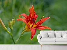 Load image into Gallery viewer, Photo Wallpaper Lily blossom in the nature
