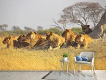 Load image into Gallery viewer, Photo Wallpaper Lion family