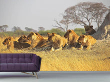 Load image into Gallery viewer, Photo Wallpaper Lion family