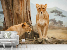 Load image into Gallery viewer, Photo Wallpaper Lions in Africa