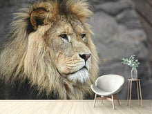 Load image into Gallery viewer, Photo Wallpaper Lion head XL